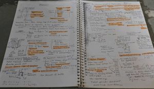 Anatomy Hand Made Photocopy Notes