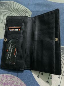 Baggit Wallet