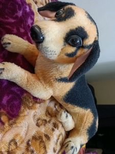 Cute Dog 🐕 Toy
