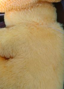 Beautiful Teddy Bear 💯 New