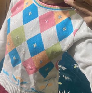 Multiple Colour Sweater