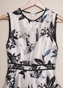 Floral Print Fit &amp; Flare Dress