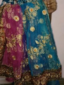Heavy Work Net Dupatta