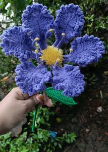 Crape myrtle flower