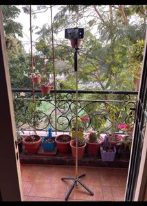 Kratos K9 Selfie Stick with Fill Light Tripod