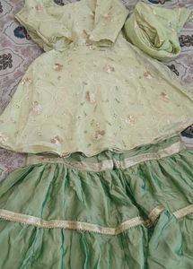 Embroidered Party Dress