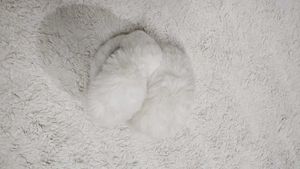 Fuzzy White Earmuffs