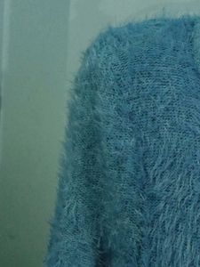 Blue Sweater
