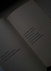 &#34;Warmth&#34; Poetry by Rithvik Singh