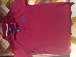 Netplay Burgundy Polo Shirt