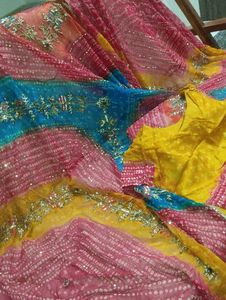 Gorgeous Lehenga Choli