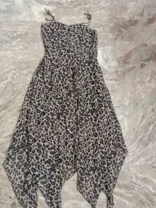 Leopard Print Dress
