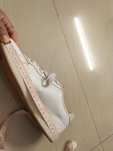 Puma Shoe