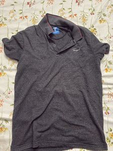 Tranquil Gray Polo Shirt