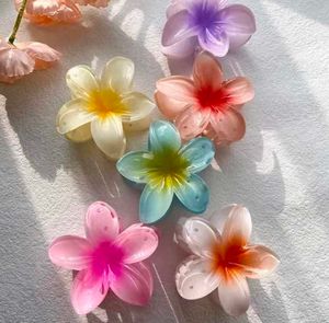 Hair Clips