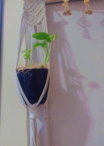 Wall Hanging