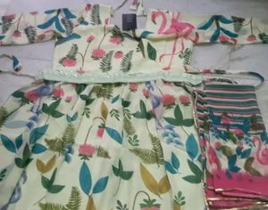 Women Gowns Dupatta Sets Xxl