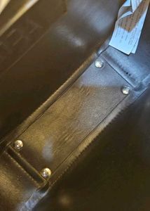 Zara Snake Print Bag