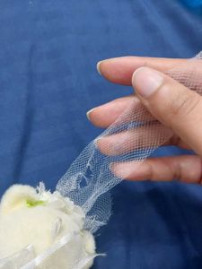 Bride Teddy