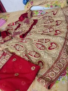 Elegant Embroidered Lehenga Choli Set