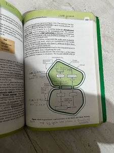 Important Marked NCERT Biology