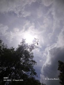 Sony Cybershot Camera