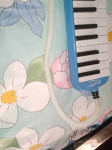 Brother Melodica Instrument