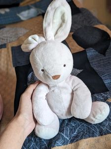 soft plushie teddy