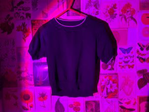 Zudio Crop Top