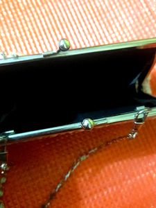 🎀Elegant Floral Evening Bag