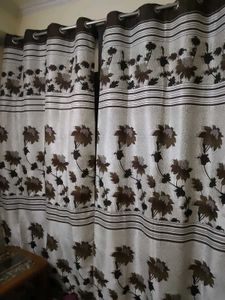 5cutains White And Broun Colour
