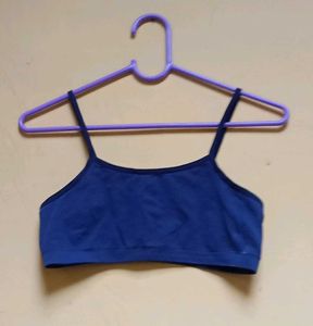 Blue Bra