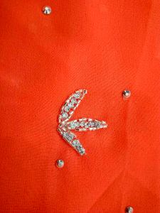 Orange Embellished Saree