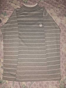 Turtle High Neck Sweater
