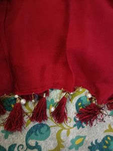 Elegant Red Saree ready to wear