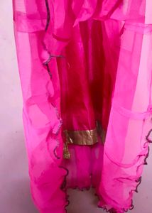 Pink Green Netted Anarkali