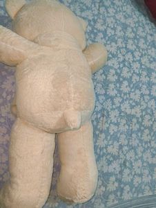 Giant Teddy Bear