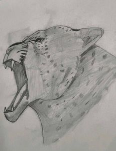Tiger Sketch Art