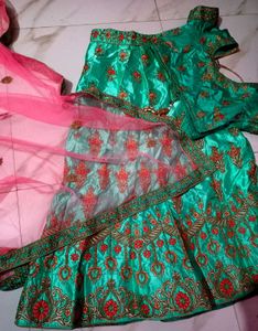 Embroidered Lehenga Skirt