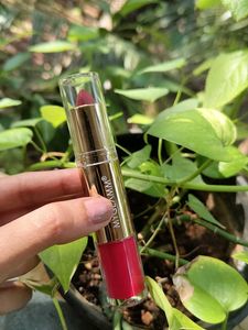 Sugar MyGlamm Organic Harvest Products