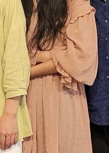 Zara Elegant Ruffled Sleeve Top