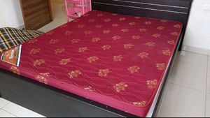 Plywood Bed