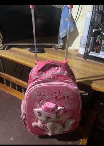 Pink Trolley Bag