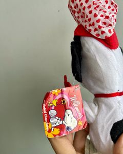 Combo Of Two Stuffed Toys