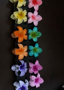 Hair Clip