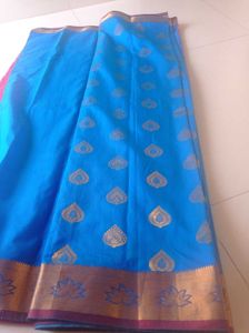 Cotton Silk Pattu Model