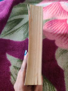 The Girl on theTrain - Paula Haw