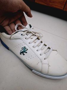 👟 REDTAPE Casuals for Men (White, Size 9)