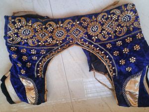 Lehenga(coins Or Swap Accepted)