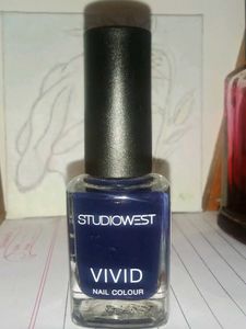 Aesthetic Navy Blue Nail Colour